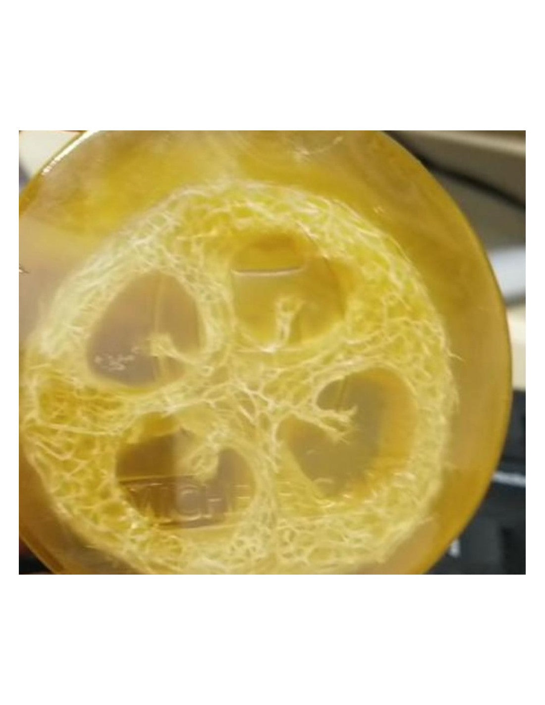 Pure laser pearl turmeric loofah soap
